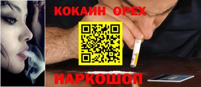 стафф Заводоуковск