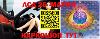 стафф Заводоуковск