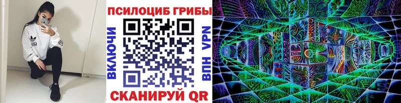 Псилоцибиновые грибы GOLDEN TEACHER  дарнет шоп  Фрязино 