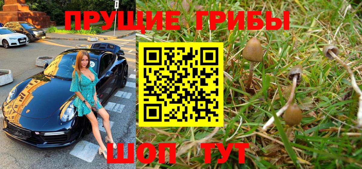 Галлюциногенные грибы ЛСД Фрязино