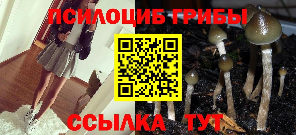 Галлюциногенные грибы ЛСД Фрязино