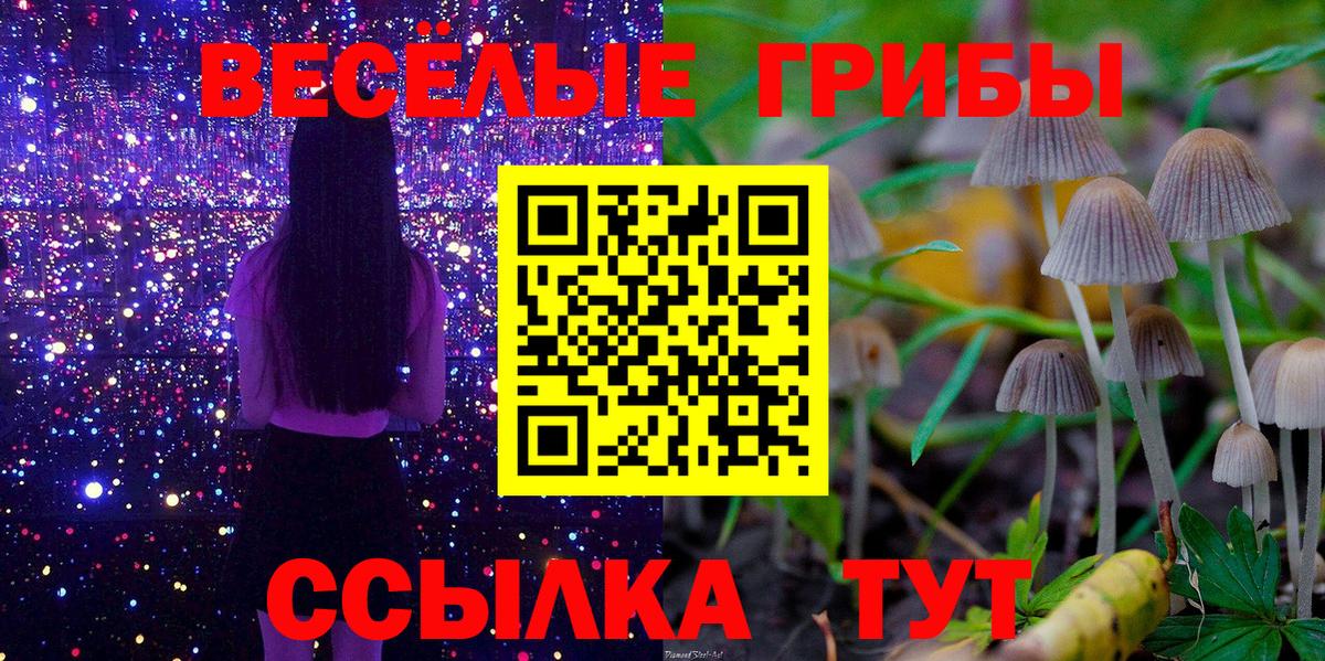 Псилоцибиновые грибы мухоморы  Вход с VPN  Галлюциногенные грибы Psilocybine cubensis  Фрязино 