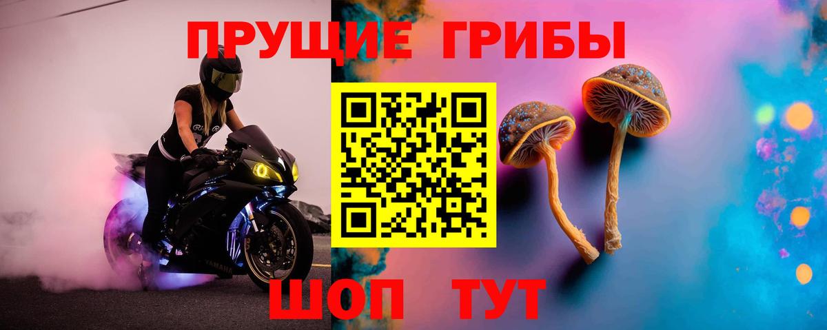 Псилоцибиновые грибы Magic Shrooms  наркошоп  Галлюциногенные грибы ЛСД  Фрязино 